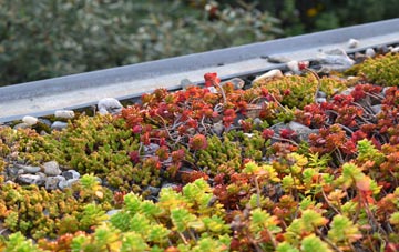 the cost of Gotherington green roof installation