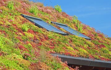 Gotherington living roof systems